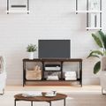 vidaXL TV skrinka hnedý dub 100x35x45 cm kompozitné drevo a železo