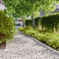 vidaXL Obrubník trávnika 50 ks 10 x 103 cm Nehrdzavejúca oceľ