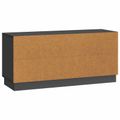 vidaXL TV skrinka 102 x 34,5 x 47 cm Čierna Kompozitné drevo