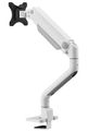 Neomounts DS70S-950WH1/Držák displeje/na stůl/17-49"/svorka+průch./VESA 100X100/nosn.18kg/plyn.píst/1 dis Držák, VESA, stolní, pro zakrivený/plochý monitor, úhloprícka 17"–49", náklon, otácení, rotace, nosnost 18kg, bílý