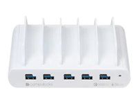 Dobíjacia stanica - 150 watt - 10 výstupných konektorov (5 x USB-C, 5 x 4-pinový USB typ A) - Európska únia