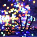 vidaXL Reťaz so zhlukmi LED, 1000 diód, farebná, PVC