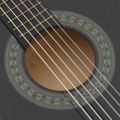 vidaXL 8-dielna klasická gitarová sada pre začiatočníkov čierna 1/2 34"