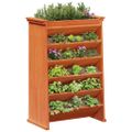 vidaXL Kvetináč na bylinky 6-poschodový voskový 69x40x101,5cm borovica