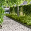 vidaXL Obrubník trávnika 20 ks 103 x 15 cm Oceľ Olivovo zelená