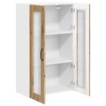 vidaXL Nástenný sklenený kabinet LUCCA Dub artisan 60 x 31 x 100 cm