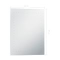 vidaXL Kúpeľňové nástenné zrkadlo s LED osvetlením 50x60 cm
