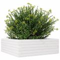 vidaXL Záhradný kvetináč biely 70x70x23 cm borovicový masív