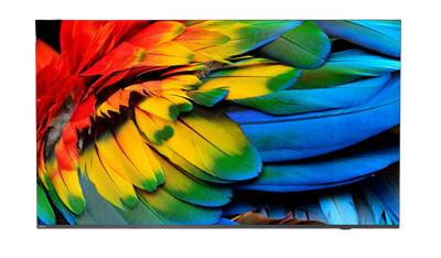 58'' HTV Philips 58HFL6214U - Business TV
