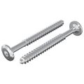 vidaXL Drevo skrutky 2 ks Strieborná M6 x 70 mm Oceľ