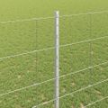 vidaXL Vonkajšie divoké oplotenie s posteľami 50 x 1,4 m Strieborná