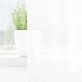 vidaXL Voile záclona 2 ks Biela 225 x 140 cm Polyester