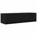 vidaXL TV skrinka 100 x 31 x 25,5 cm Čierny dub Kompozitné drevo
