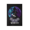 Zápisník Wednesday s violončelom