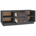 vidaXL TV skrinka sivá 100x34x40 cm borovicový masív