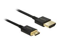 Kábel HDMI s ethernetom - 19-pinový mini HDMI Type C samec na HDMI samec - 25 cm - trojnásobne tienená krútená dvojlinka - čierna - podporuje 4K
