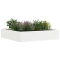 vidaXL Obrubník trávnika 6 ks 60 x 60 x 13 cm Oceľ Biela