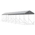 vidaXL Vonkajší koterec pre psov so strechou striebor. 2x14x2,5m oceľ