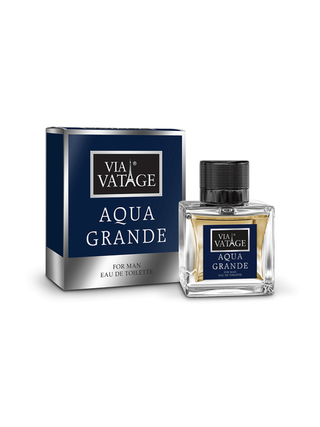 BI-ES VIA VATAGE AQUA GRANDE pánska toaletná voda 100 ML