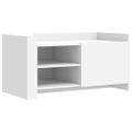 vidaXL Konferenčný stolík biely 100x50x50 cm kompozitné drevo