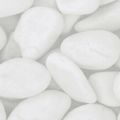 vidaXL Ochranné pásy proti hmyzu, mramorový vzhľad, sivé, 70x0,19 m, PVC