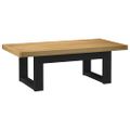 vidaXL Konferenčný stolík NOAIN nohy v tvare U 120x60x40 cm borovicový