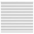 vidaXL Zebra roleta svetlosivá 160x100cm šírka látky 155,9cm polyester