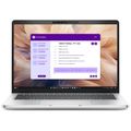 DELL Pro 13 Plus PB13 13.3" FHD+U5 236V/1/5/I/W11P