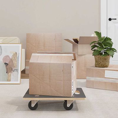 vidaXL Transportné vozíky 2 ks, obdĺžnikové 50x35x11,5 cm 250 kg