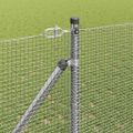 vidaXL Zváraný drôtový plot s hrotmi 50 x 1,4 m Pozinkovaná oceľ