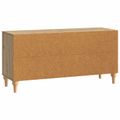 vidaXL TV skrinka 102 x 34,5 x 50 cm Dub artisan Kompozitné drevo