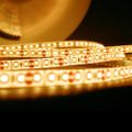 Modee LED pás 30m DC12V 9,6W  teplá biela (MLLS12V44W120L)