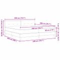 vidaXL Posteľ s pružinovým rámom Tmavomodrá 200 x 200 cm Zamat
