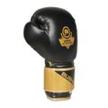 Boxerské rukavice DBX BUSHIDO B-2v10 10 oz