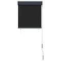 vidaXL Vonkajšia zatemňovacia roleta 60x250 cm antracitová