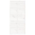 vidaXL Dvere do stodoly biele 100x1,8x214 cm masívna borovica