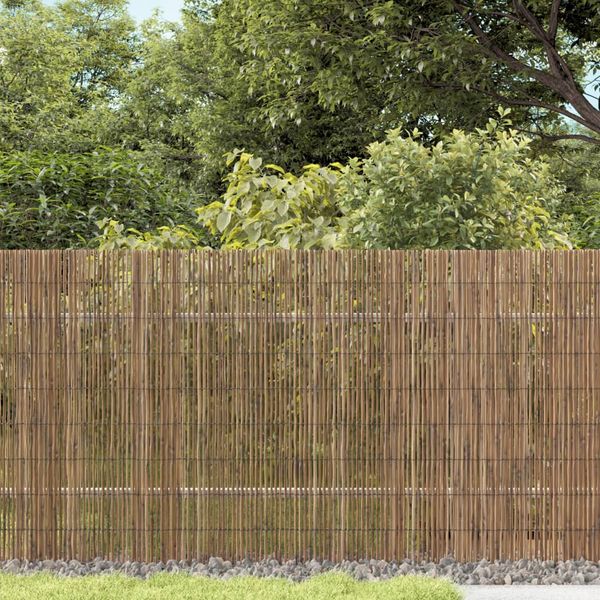 vidaXL Záhradný plot 600x80 cm trstina
