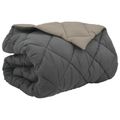 vidaXL Zimný prehoz 200 x 200 cm 450 gsm Mikrovlákno (100% polyester)