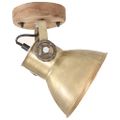 vidaXL Industriálne nástenné / stropné lampy 2 ks mosadzné 20x25 cm E27