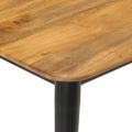 vidaXL Konferenčný stolík 110x50x40 cm mangový masív a železo