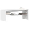 vidaXL TV skrinka biela 120x40x40 cm drevotrieska