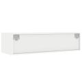 vidaXL TV skrinka s LED svetlami, biela 100X35,5x25 cm
