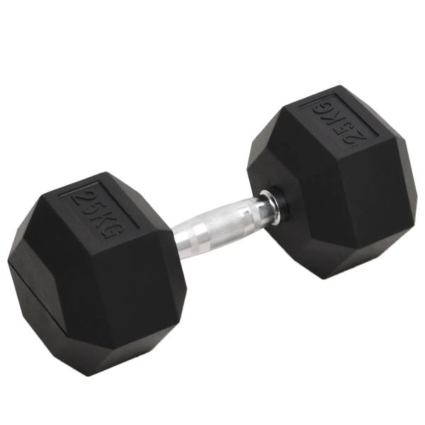 vidaXL Jednoručná činka 25 kg liatina