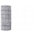 vidaXL Záhradný európsky plot s hrotmi 10 x 0,6 m Pozinkovaná oceľ
