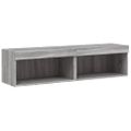 vidaXL TV skrinky s LED svetlami 2 ks sivé sonoma 60x30x30 cm
