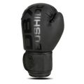Boxerské rukavice DBX BUSHIDO B-2v21 16 oz