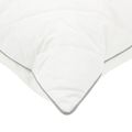 vidaXL Vankúš FULDA 2 ks 50 x 70 cm 100% husacie perie a dolu Biela