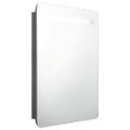 vidaXL LED kúpeľňová zrkadlová skrinka žiarivá sivá 60x11x80 cm