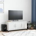 vidaXL TV skrinka biela 100,5x39x43,5 cm oceľ