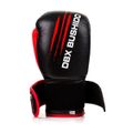 Boxerské rukavice DBX BUSHIDO ARB-415 14 oz